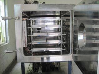 Vacuum Freeze Dryer