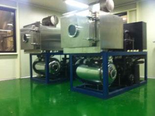 Vacuum Freeze Dryer